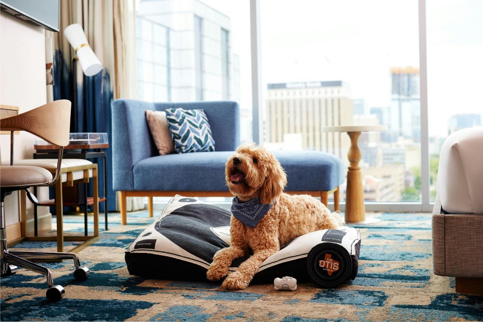 The Otis Hotel Austin, Autograph Collection Εξωτερικό φωτογραφία